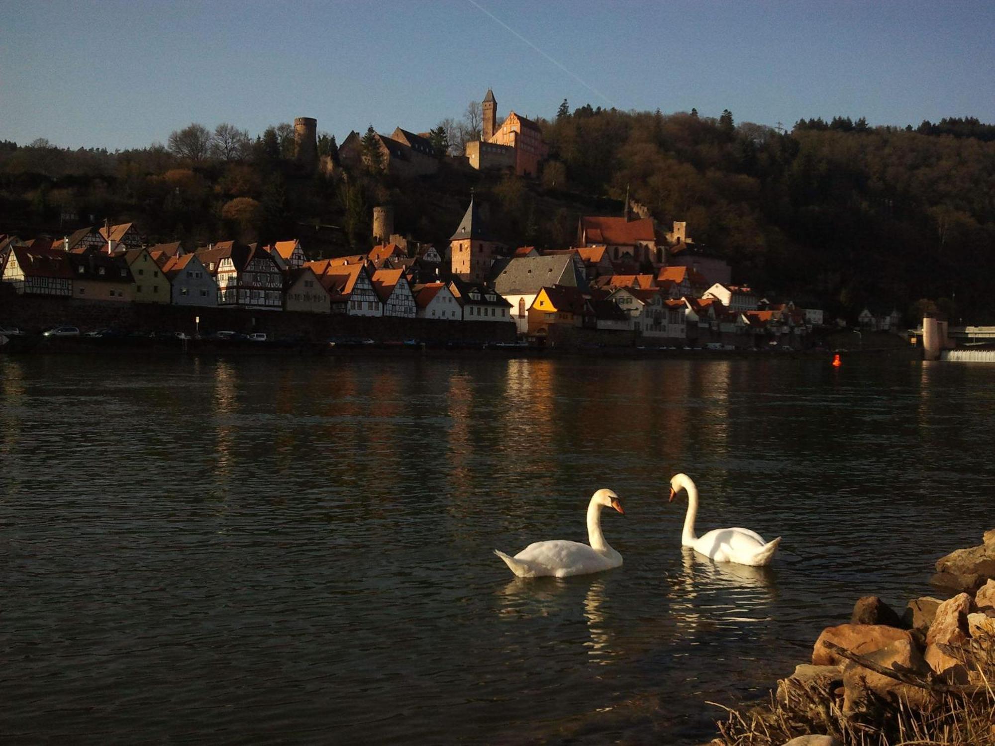 Romantisches Hirschhorn Am Neckar Exterior foto