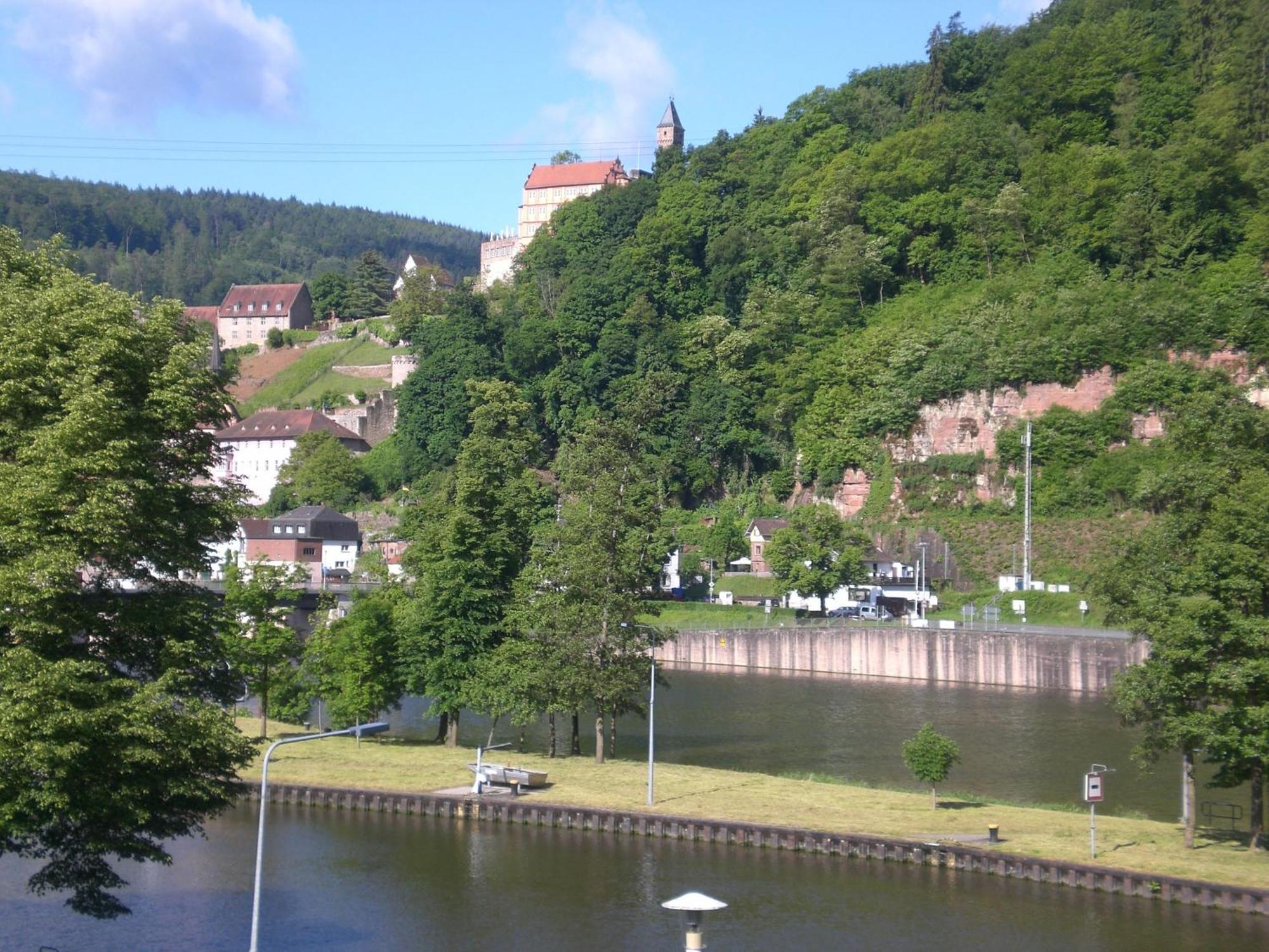 Romantisches Hirschhorn Am Neckar Exterior foto