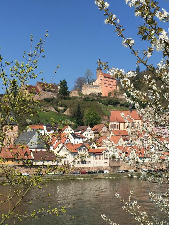 Romantisches Hirschhorn Am Neckar Exterior foto