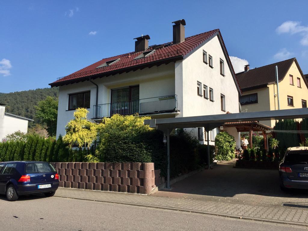 Romantisches Hirschhorn Am Neckar Exterior foto